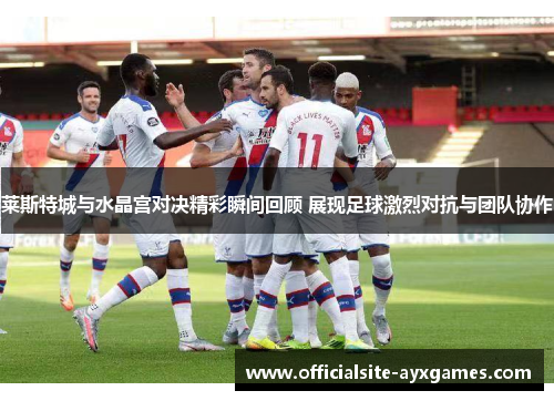 莱斯特城与水晶宫对决精彩瞬间回顾 展现足球激烈对抗与团队协作