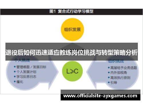 退役后如何迅速适应教练岗位挑战与转型策略分析